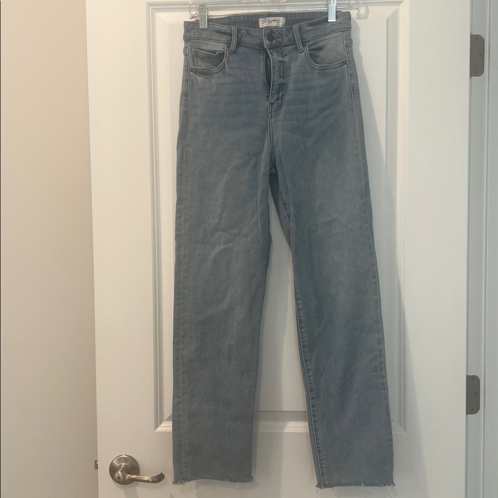 Carly Jean Los Angeles Gray Denim Pants